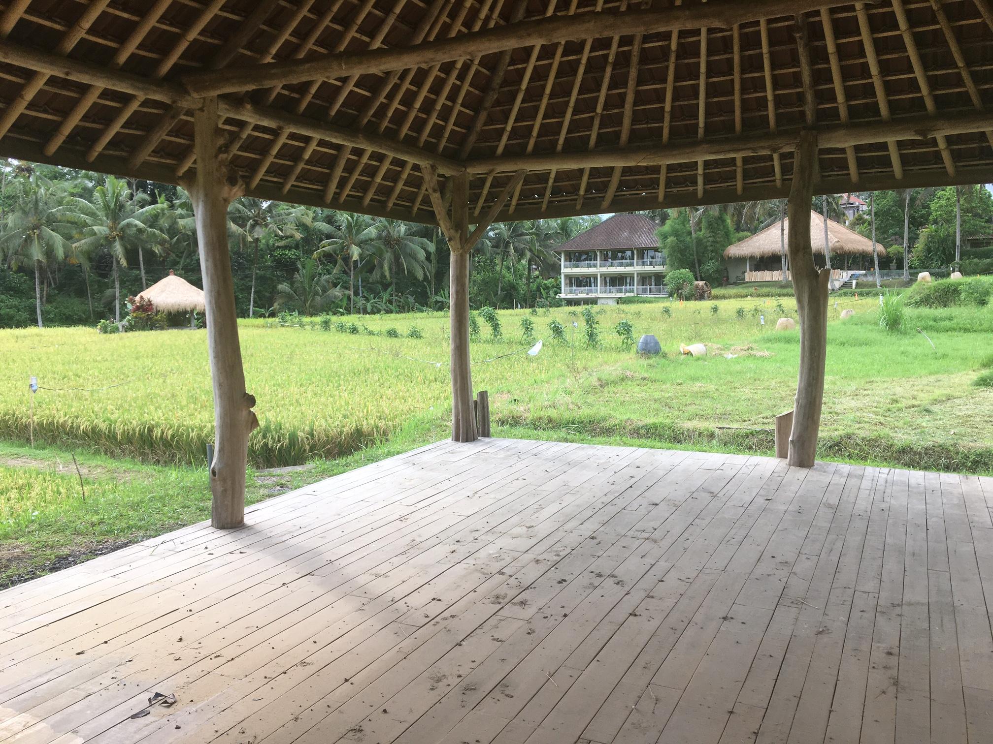 Mathis Retreat Ubud Luaran gambar