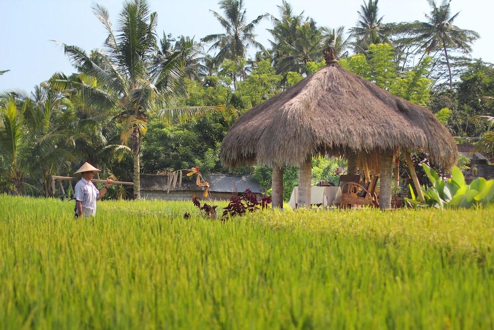 Mathis Retreat Ubud Luaran gambar